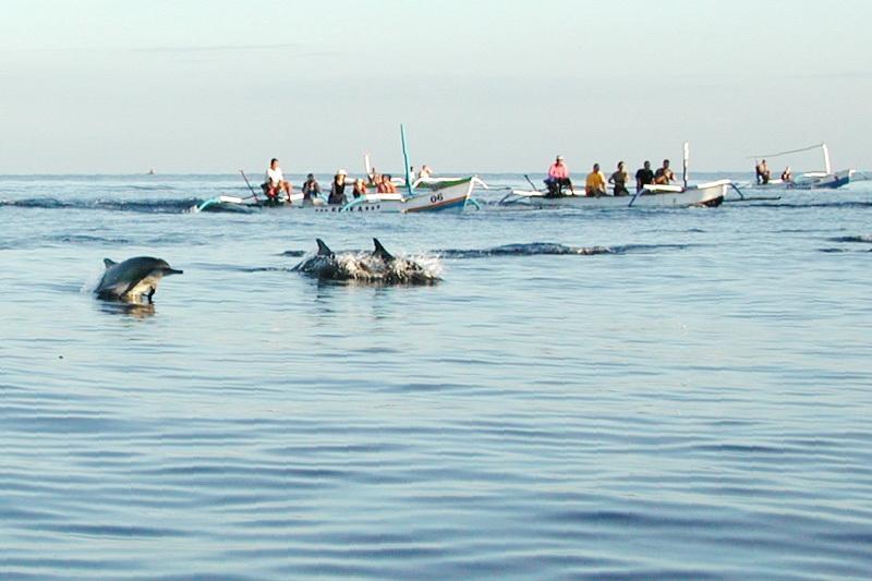 Bali, Lovina