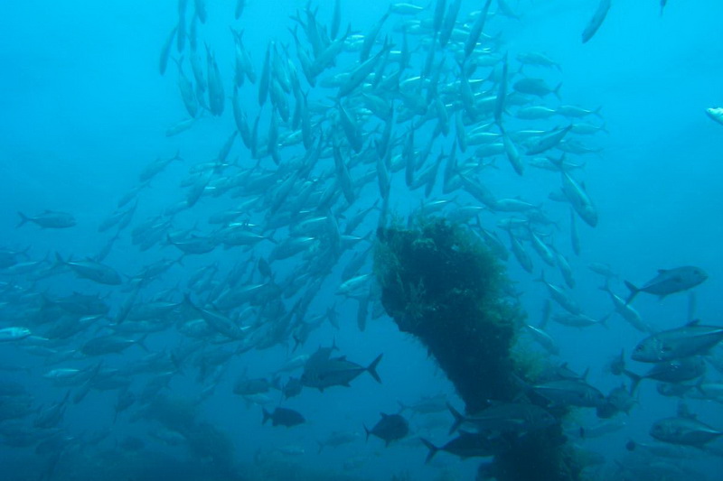 Indonesia, Bali, Tulamben