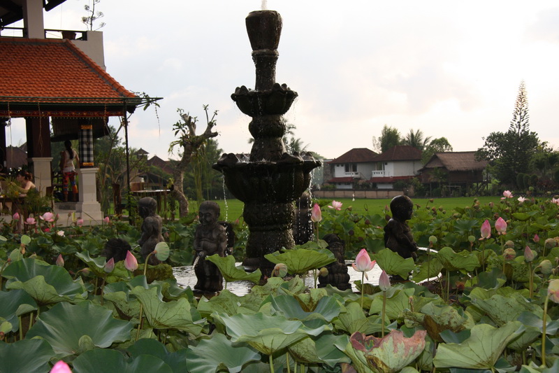 Indonesia, Bali, Ubud