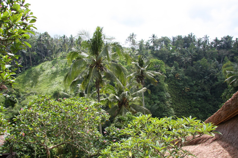 Indonesia, Bali, Ubud