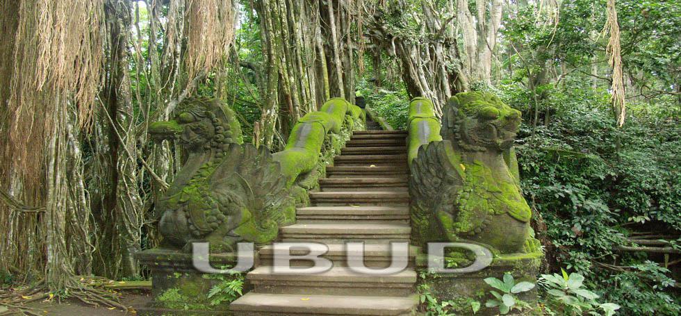 Bali Ubud