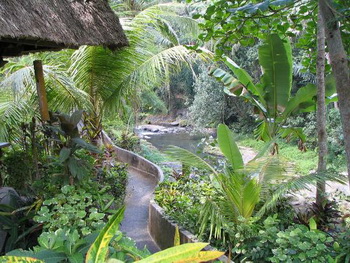 Bali, Ubud, Bali Spirit Hotel and SPA