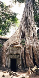 Cambodia