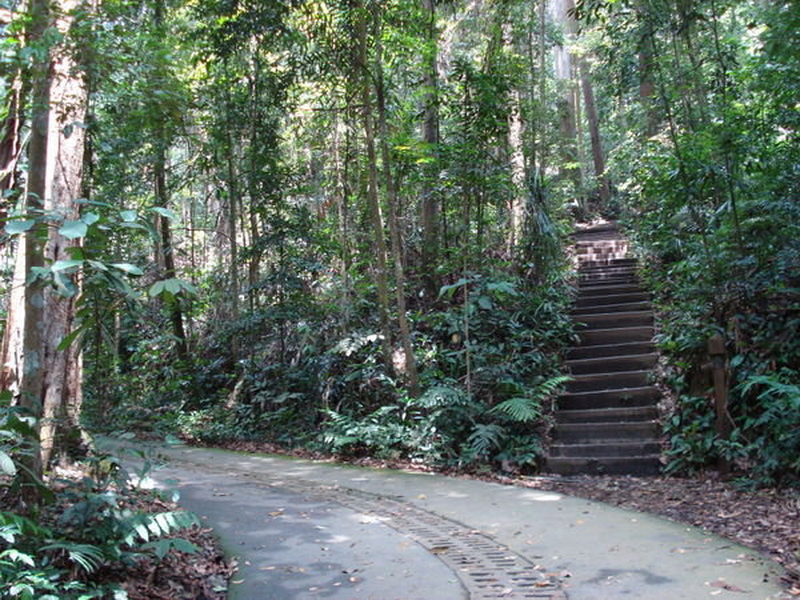 Singapore, Bukit Timah