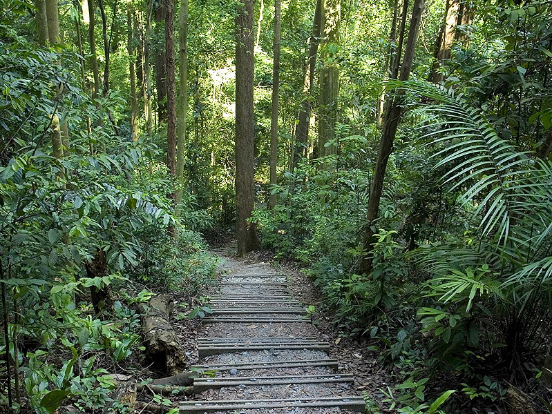 Singapore, Bukit Timah