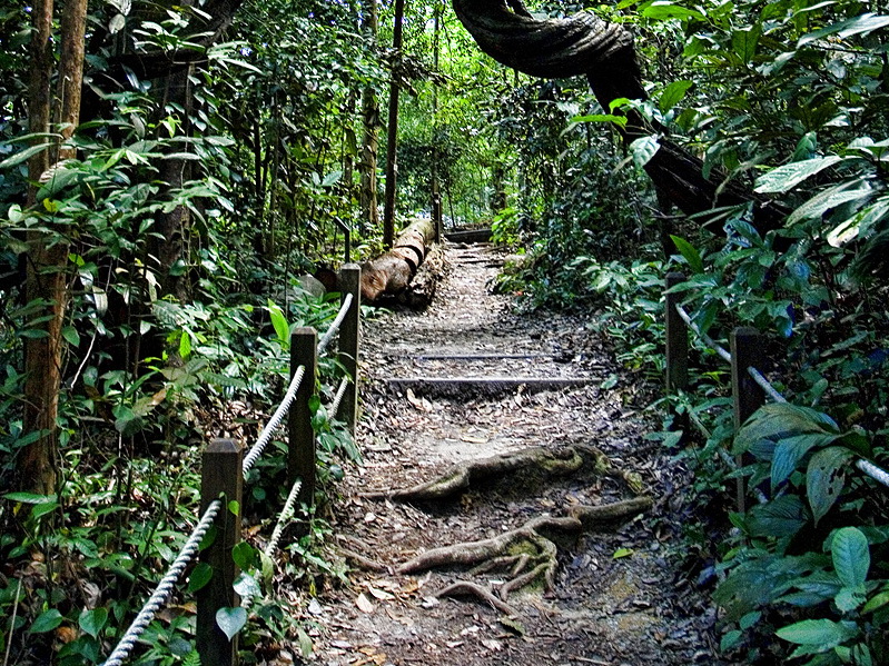 Singapore, Bukit Timah