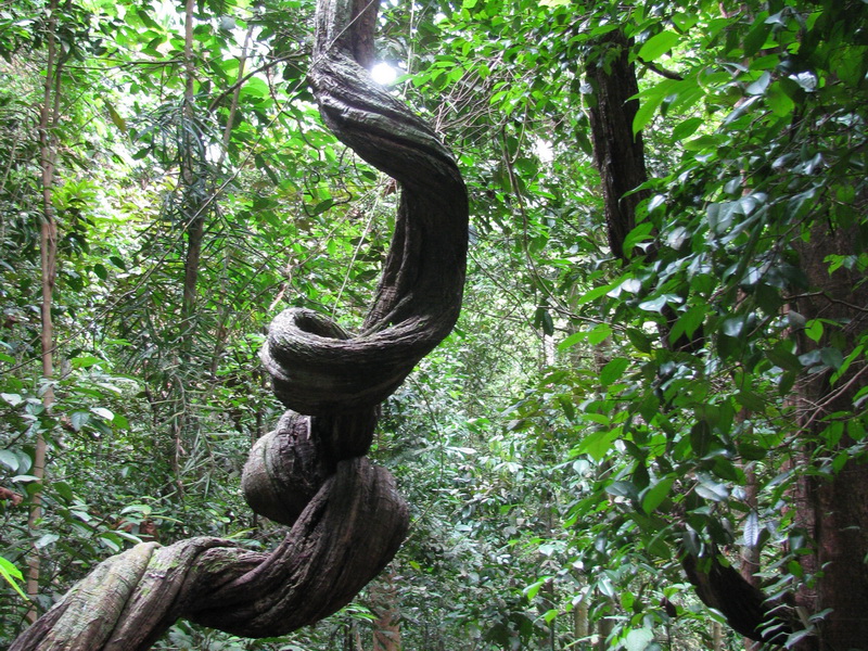 Singapore, Bukit Timah