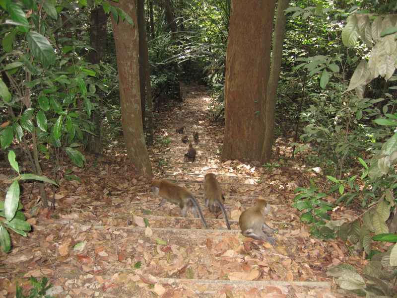 Singapore, Bukit Timah