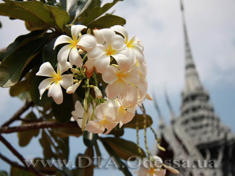 Thailand, Bangkok, Muang Boran - Ancient City