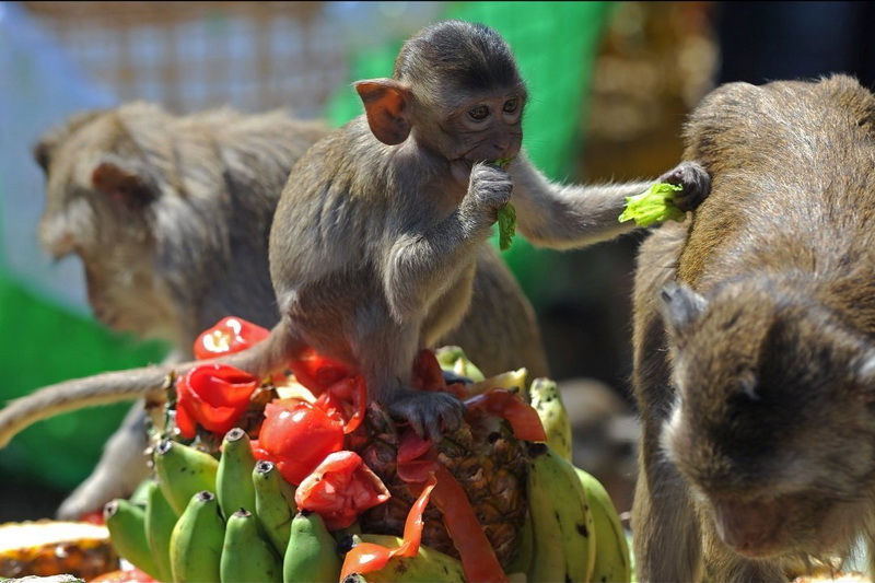 Thailand, Lopburi