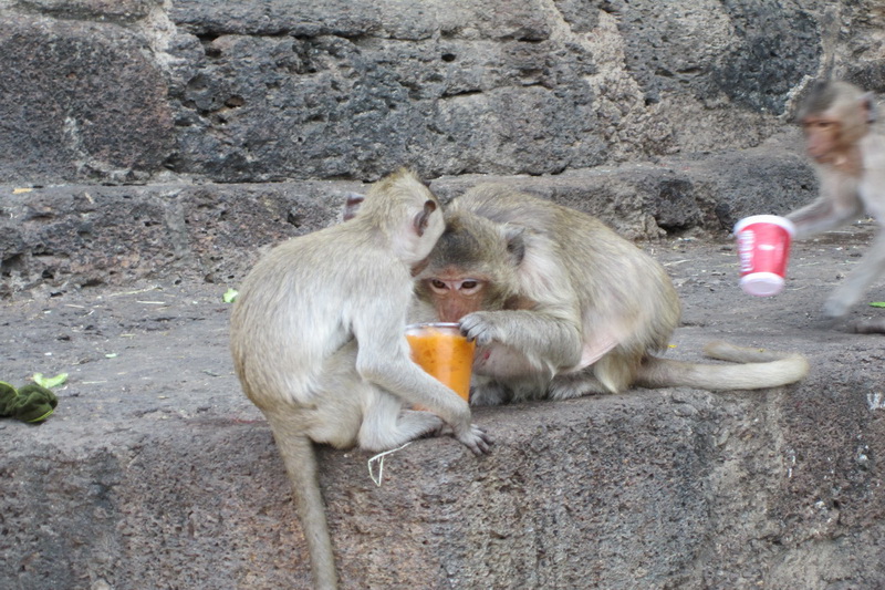 Thailand, Lopburi