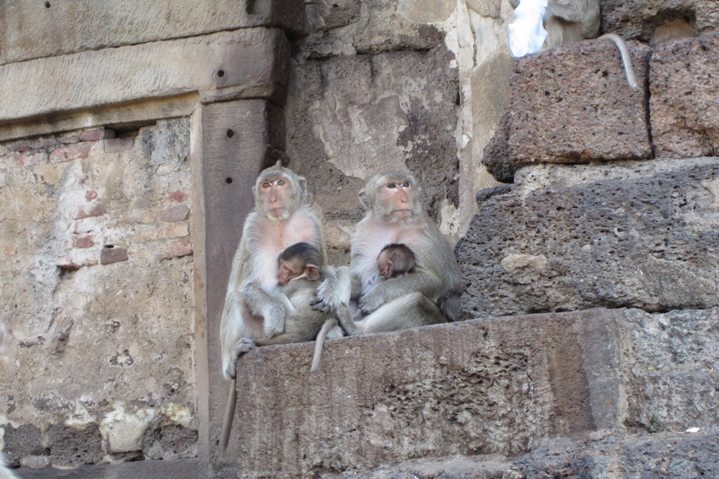 Thailand, Lopburi