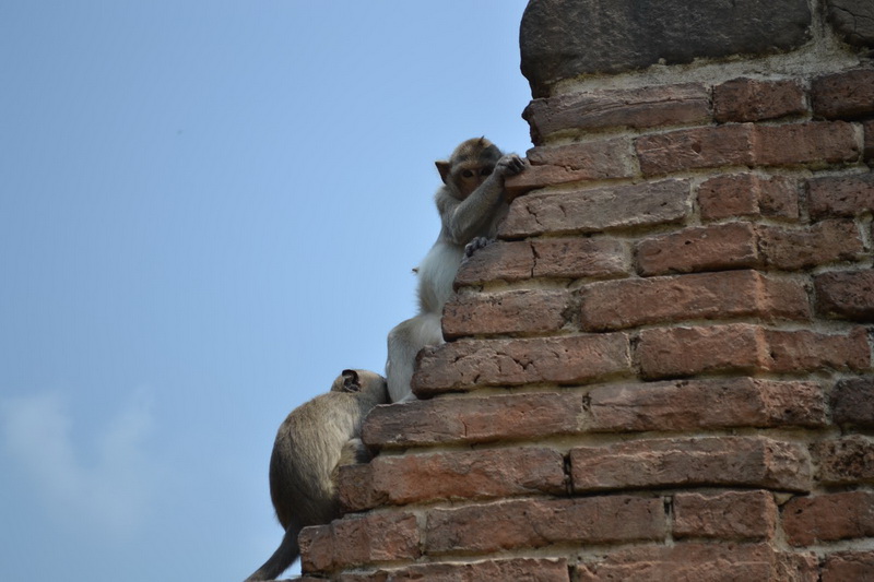 Thailand, Lopburi