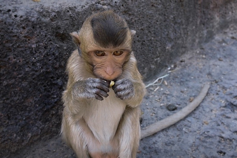 Thailand, Lopburi