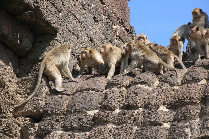 Thailand, Lopburi