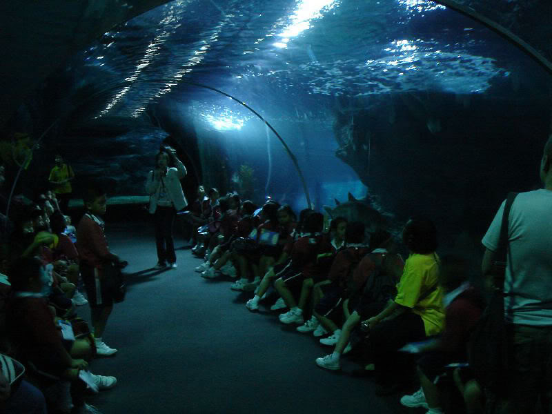 Thailand, Bangkok, Siam Ocean World