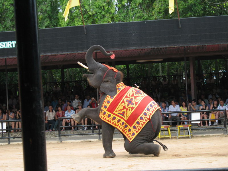 Thailand, Pattaya, Nong Nuch