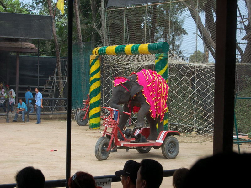 Thailand, Pattaya, Nong Nuch