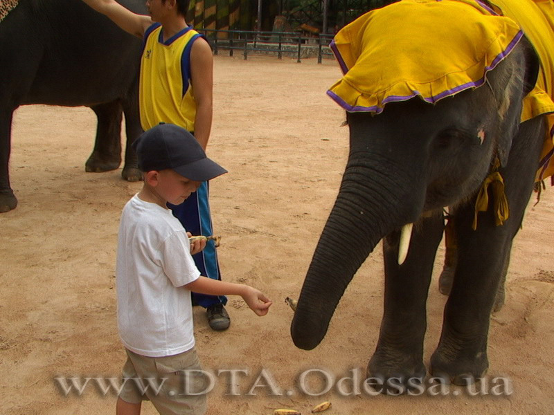 Thailand, Pattaya, Nong Nuch