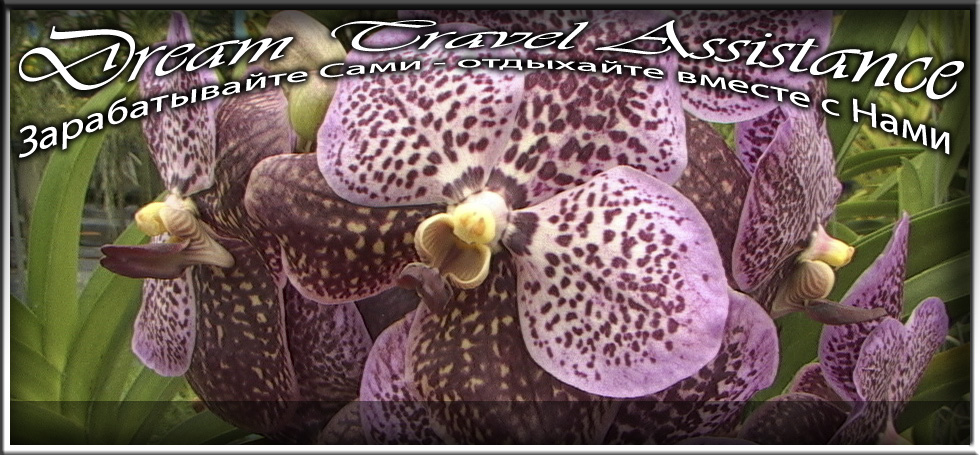 Thailand, Phuket, Информация о Ферме Орхидей (Phuket Orchid Farm)
       на сайте любителей путешествовать www.dta.odessa.ua