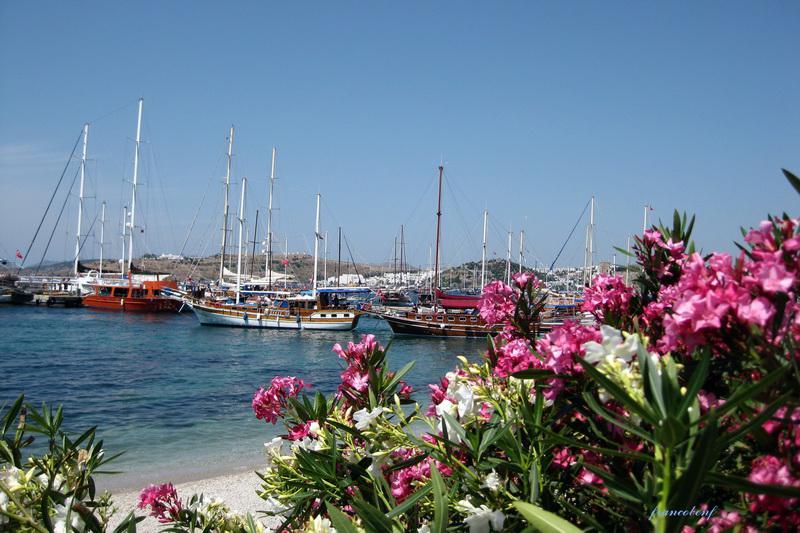 Turkey, Bodrum