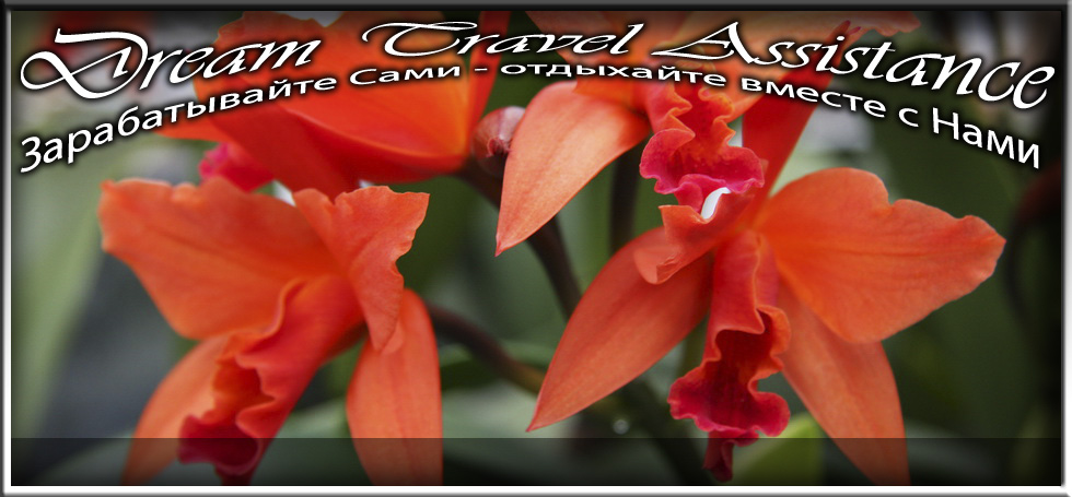 Cattleya, Lc. Fire Dance ‘Patricia’, id46 из частной коллекции на сайте любителей путешествовать www.dta.odessa.ua