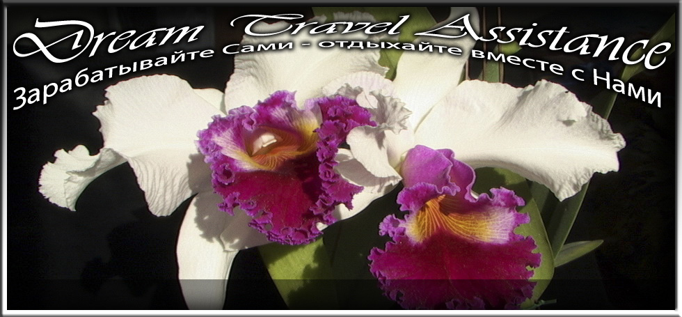 Cattleya, Unknown Hibrid, id48 из частной коллекции на сайте любителей путешествовать www.dta.odessa.ua