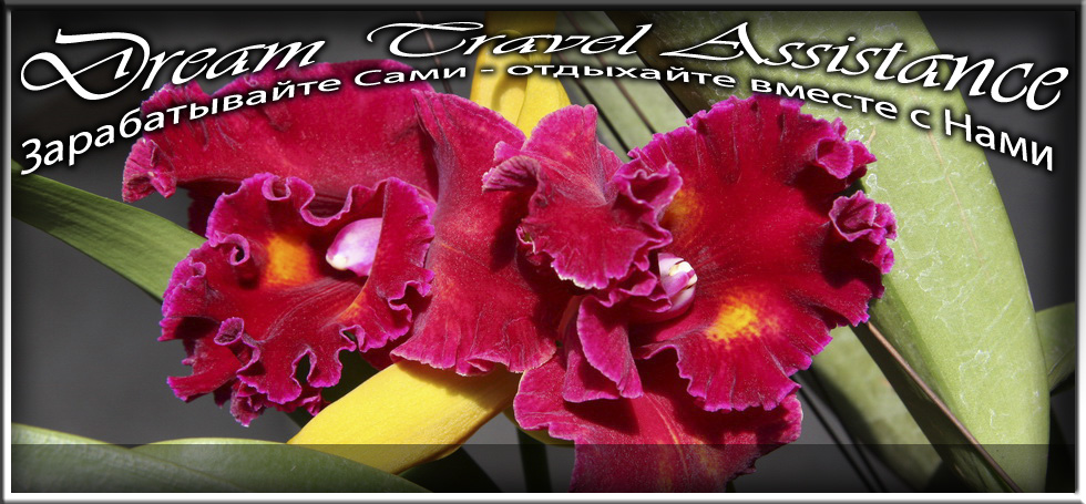 Cattleya, Unknown Hibrid, id54 из частной коллекции на сайте любителей путешествовать www.dta.odessa.ua