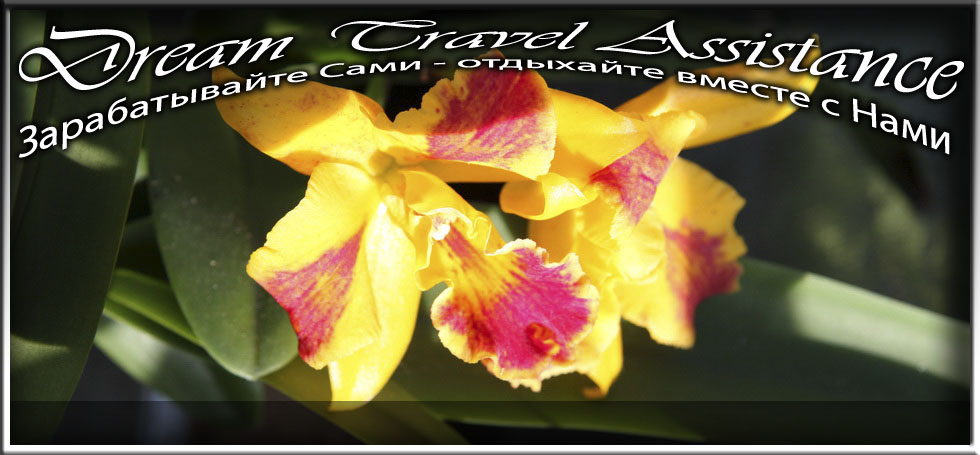 Cattleya, Rhyncattleanthe Burana Beauty 'Burana', id75 из частной коллекции на сайте любителей путешествовать www.dta.odessa.ua