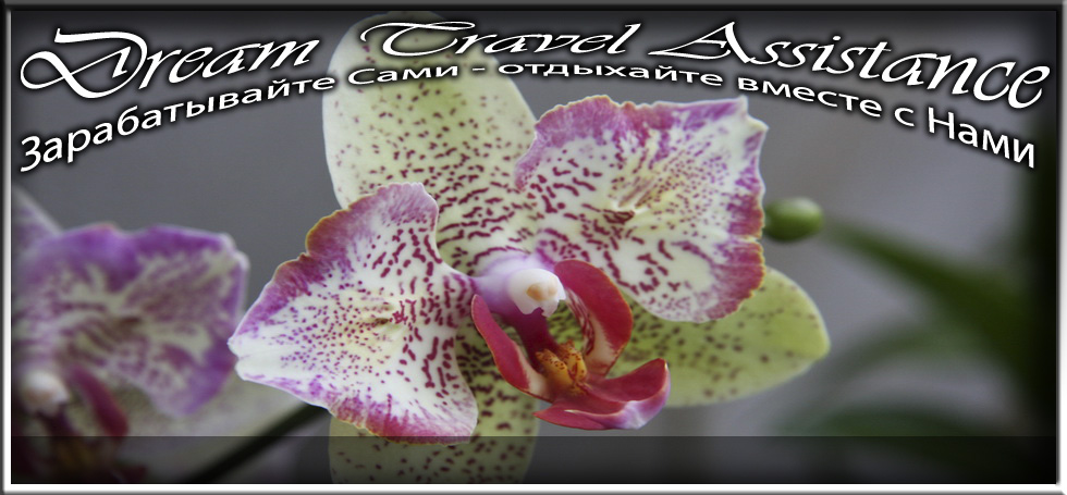 Phalaenopsis, Unknown Hibrid, id1 из частной коллекции на сайте любителей путешествовать www.dta.odessa.ua