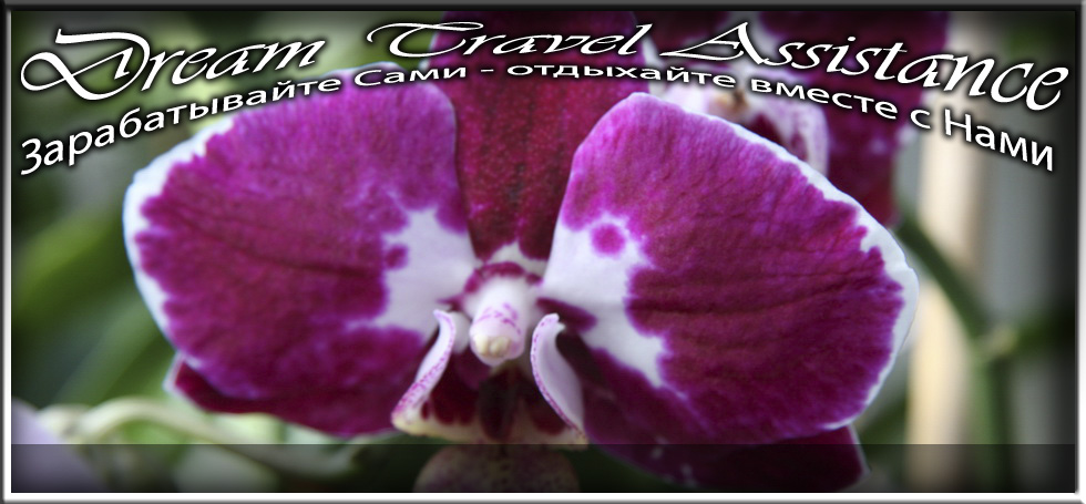 Phalaenopsis, Unknown Hibrid, id14 из частной коллекции на сайте любителей путешествовать www.dta.odessa.ua