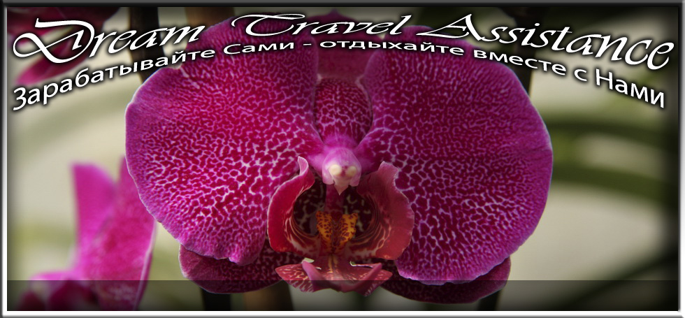 Phalaenopsis, Unknown Hibrid, id21 из частной коллекции на сайте любителей путешествовать www.dta.odessa.ua