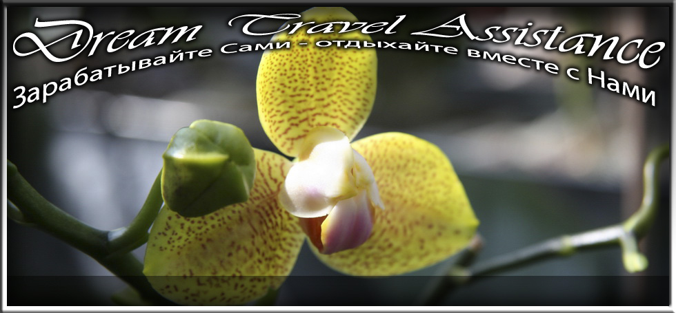 Phalaenopsis, Unknown Hibrid, id23 из частной коллекции на сайте любителей путешествовать www.dta.odessa.ua