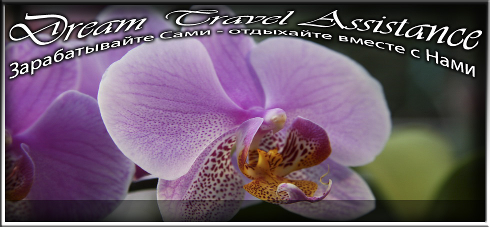 Phalaenopsis, Unknown Hibrid, id3 из частной коллекции на сайте любителей путешествовать www.dta.odessa.ua