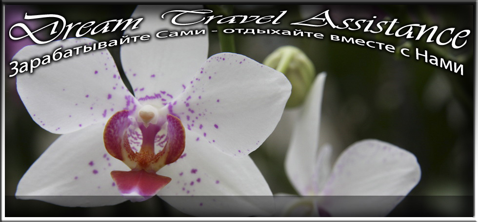 Phalaenopsis, Unknown Hibrid, id31 из частной коллекции на сайте любителей путешествовать www.dta.odessa.ua