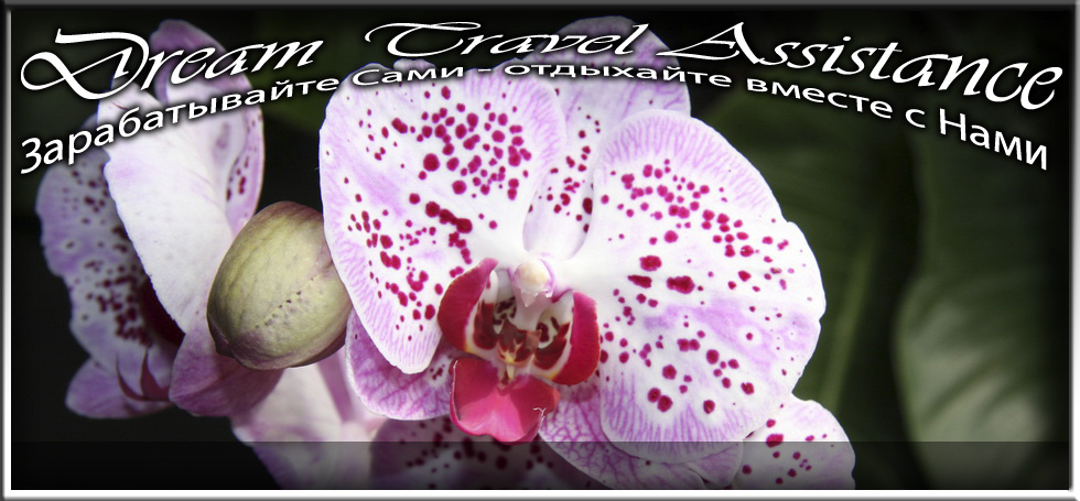 Phalaenopsis, Phalaenopsis Chang Xen Pearl (Phal Ching Hua Spring x Dtps Nobbys Pink Lady), id50 из частной коллекции на сайте любителей путешествовать www.dta.odessa.ua