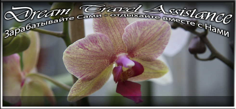 Phalaenopsis, Unknown Hibrid, id9 из частной коллекции на сайте любителей путешествовать www.dta.odessa.ua