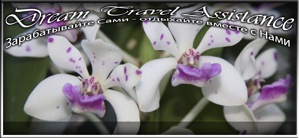 Rhynchostylis, Rhynchostylis gigantea spot, id58 из частной коллекции на сайте любителей путешествовать www.dta.odessa.ua